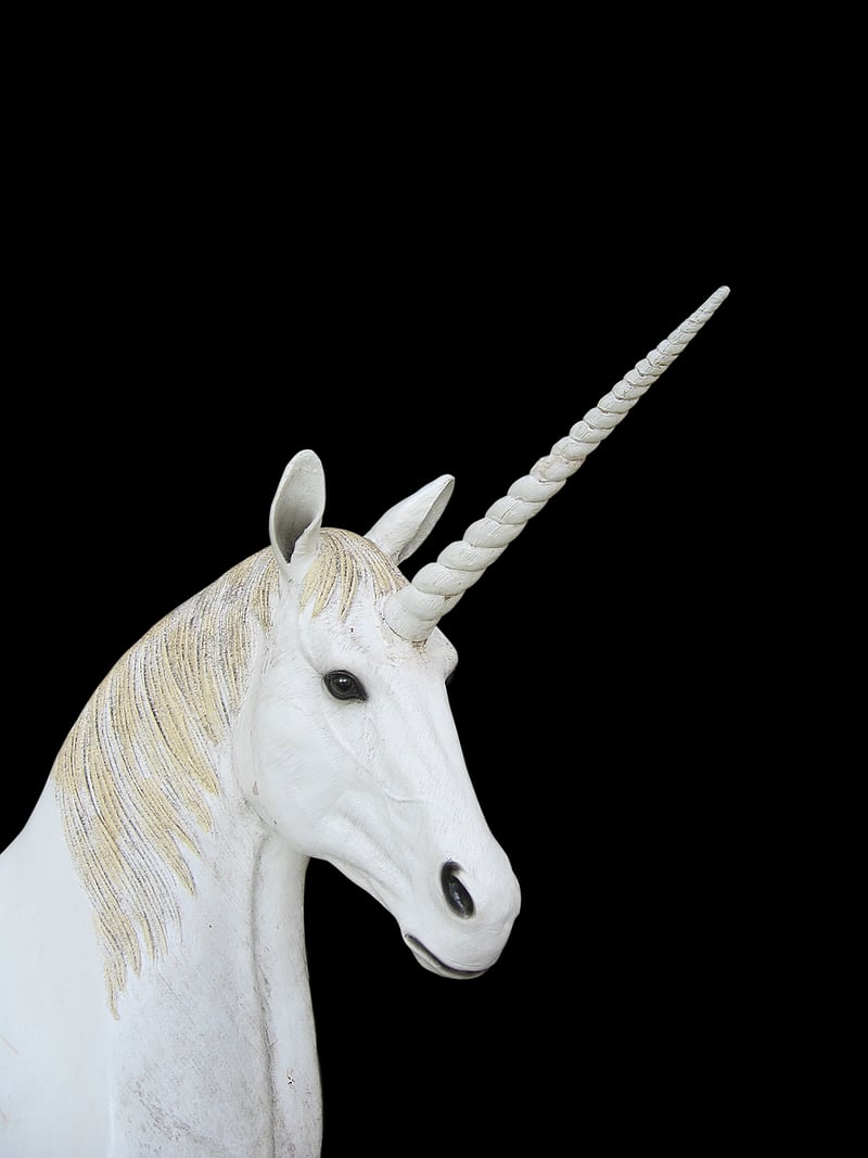 Unicorn-themed Accents